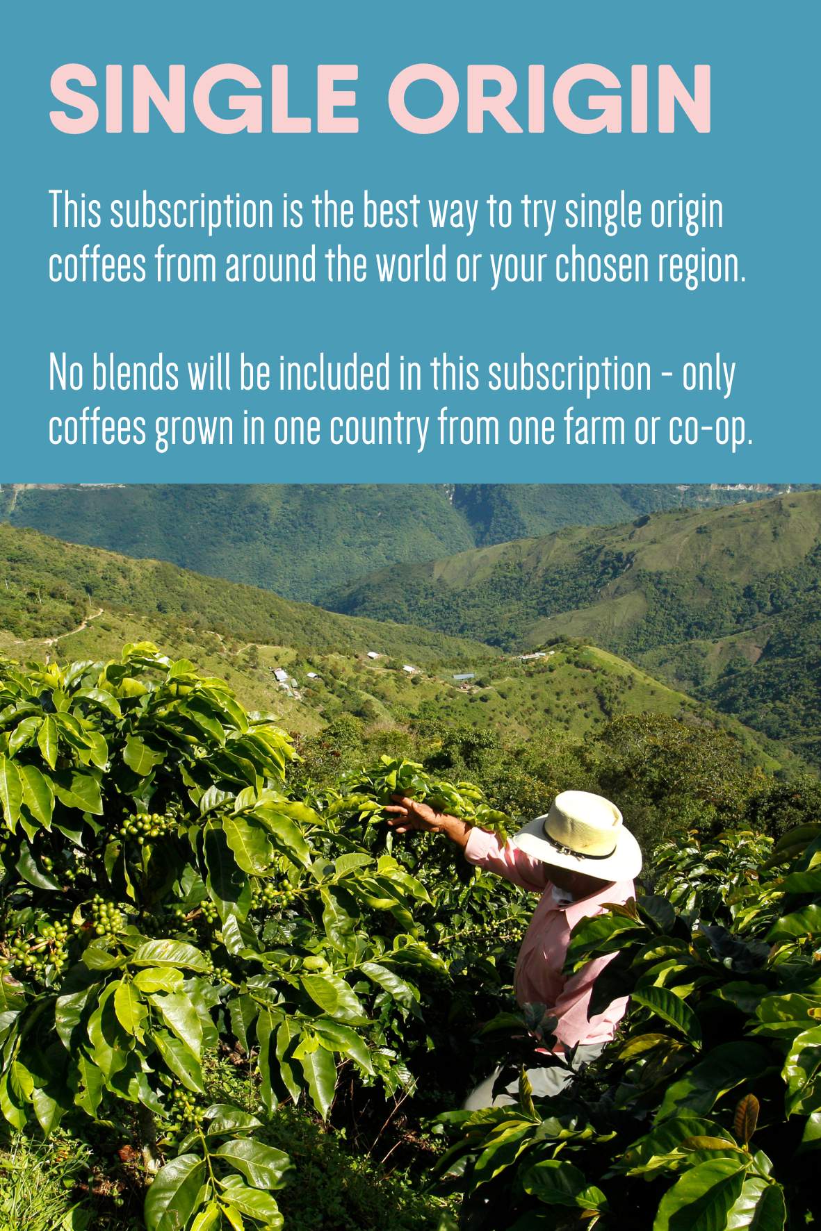 Single Origin Subscription